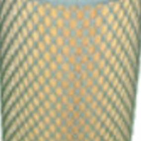 Luftfilter (Af25686) Case