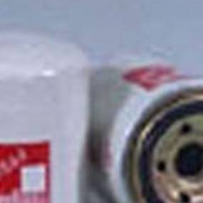 Kraftstofffilter (Ff5255) Case