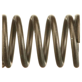 Feder (Sba198217470) Case SBA198217470