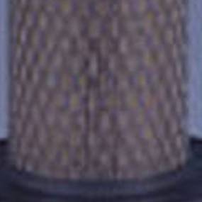 Luftfilter (Af1891) Case
