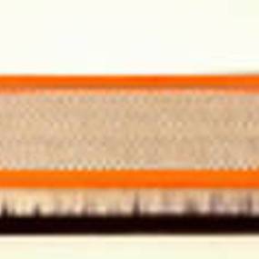Luftfilter (Af25621) Case