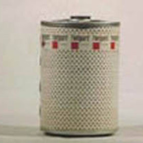 Kraftstofffilter (Fs19553) Case
