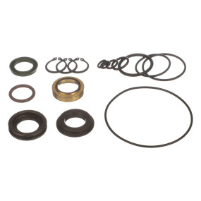 Dichtungssatz (5284) Case