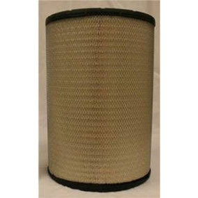 Luftfilter (Af26209) Case