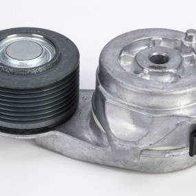 Riemenspanner (87436755) Case