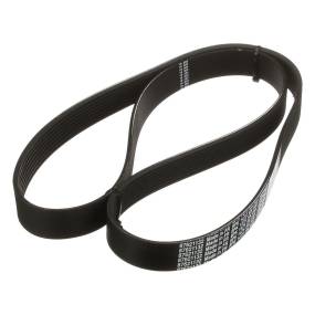 Riemen Case