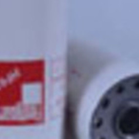 Hydraulikölfilter (Hf6348) Case