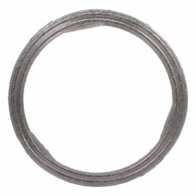Dichtung, Flach Case