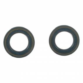 Dichtung Case