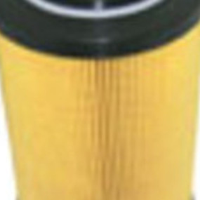 Hydraulikölfilter (Hf35216) Case