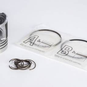 Kolben Komplett (1931002) Case