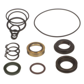 Dichtungssatz (5284) Case