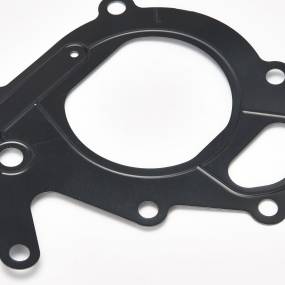 Dichtung, Flach (500362150) Case