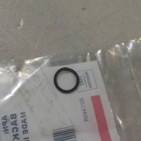 Stützring Case 382236R1