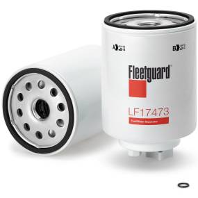 Kraftstofffilter (Fs19548) Case