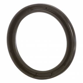 Dichtung Case