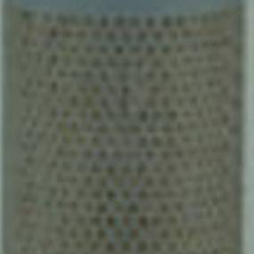 Luftfilter (Af25291) Case