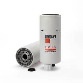 Kraftstofffilter (Fs1065) Case