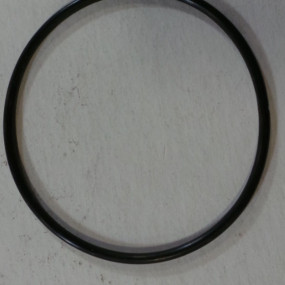 O-Ring Case 530789R1