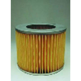 Luftfilter (Af25386) Case