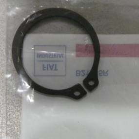 Sprengring Case 25121