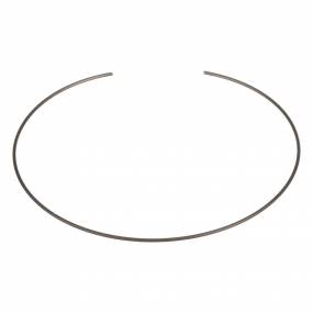 Sicherungsring Case