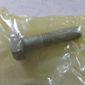 Schraube Case 14233834