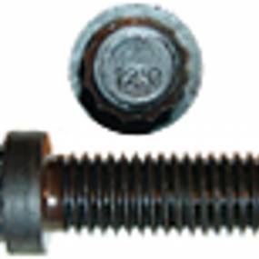 12Kt-Schraube Case 87308873