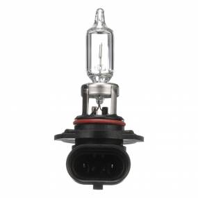 Glühlampe Case