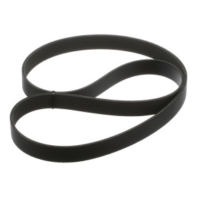 Riemen (J911562) Case