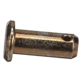 Gabelbolzen Case