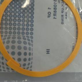 Stützring (381088R1) Case