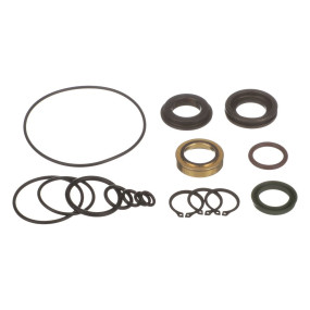 Dichtungssatz (5284) Case