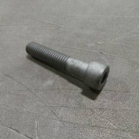 Schraube (16690924) Case