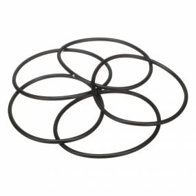 O-Ring Case