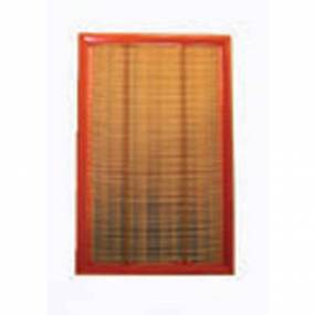 Luftfilter (Af25841) Case