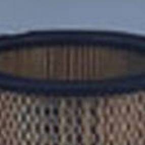 Luftfilter (Af4929) Case
