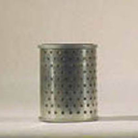 Hydraulikölfilter (Hf6238) Case