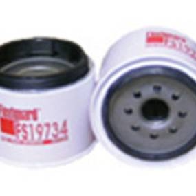 Kraftstofffilter (Fs19734) Case