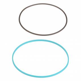 Dichtring Case