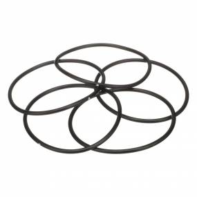 O-Ring Case