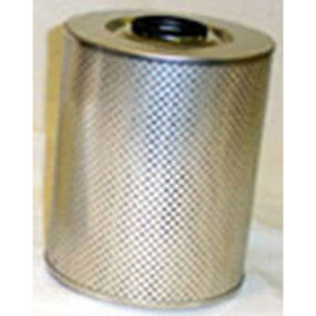 Hydraulikölfilter (Hf35013) Case