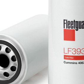 Motorölfilter (Lf3934) Case