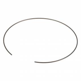 Sicherungsring Case