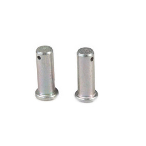 Bolzen Case 10050811