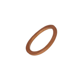 Dichtscheibe Case 10261160