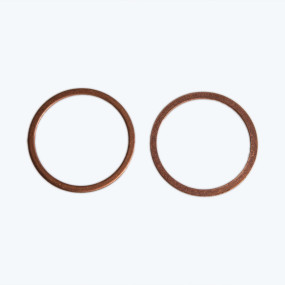 Dichtscheibe Case 10265160