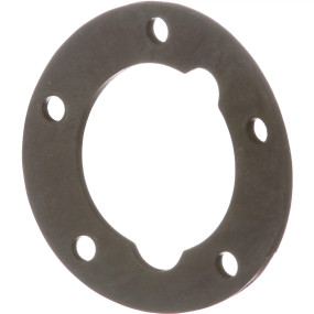 Dichtung, Flach (104812C3) Case