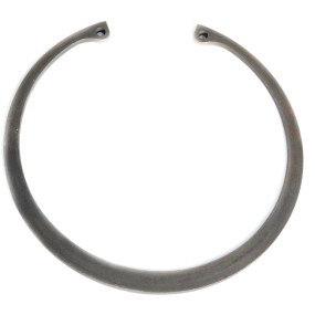 Sprengring Case 11076976