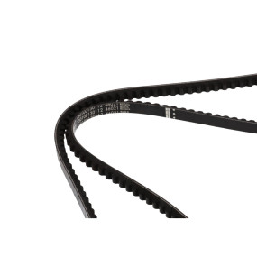 Riemen Case 130100130112